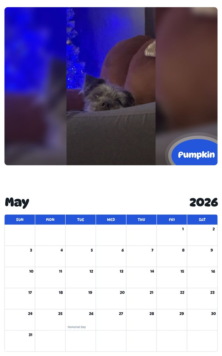 2026 - 2027 Pumpkin - Pawidols Pet Calendar