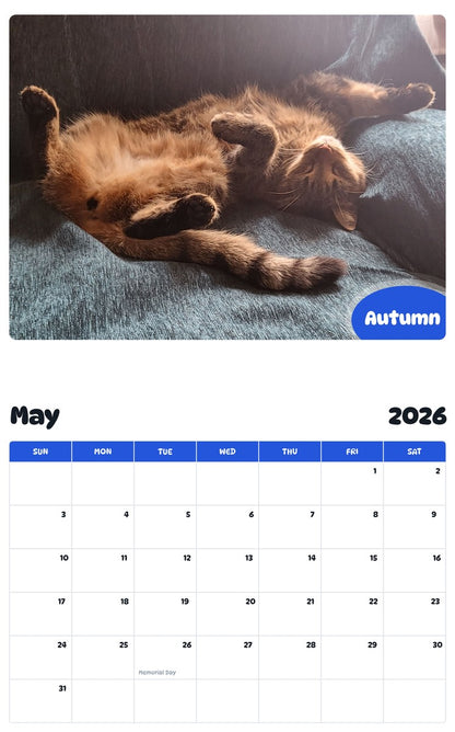 2026 - 2027 Autumn - Pawidols Pet Calendar