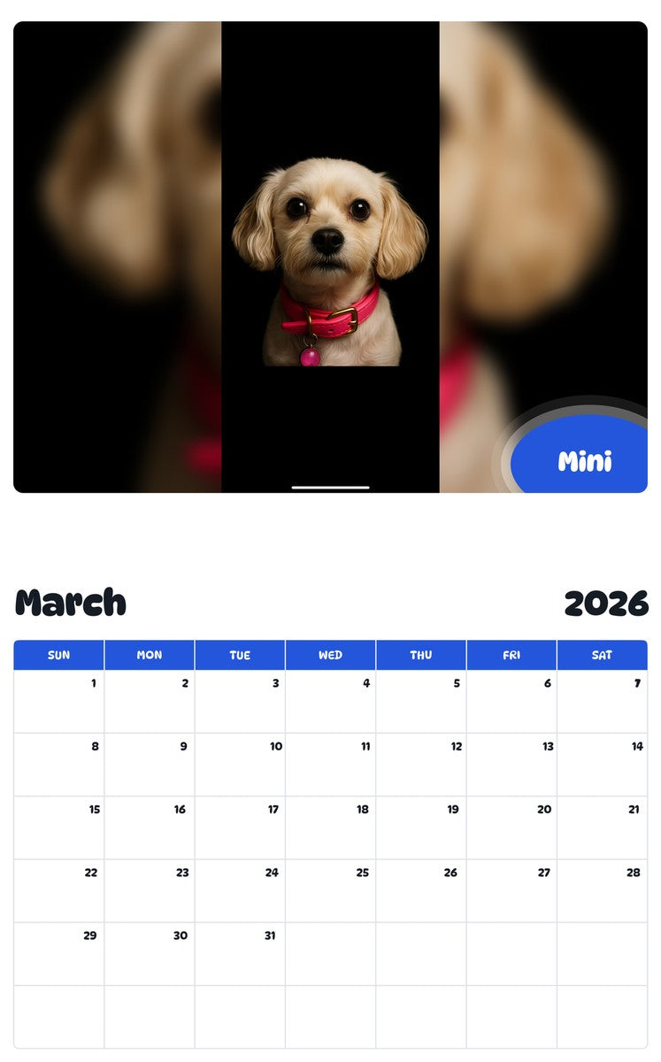 November 2025 - October 2026 Mini - Pawidols Pet Calendar