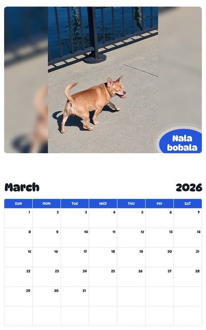 November 2025 - October 2026 Nala bobala - Pawidols Pet Calendar