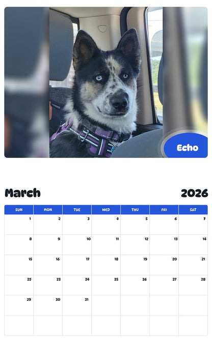 November 2025 - October 2026 Echo - Pawidols Pet Calendar