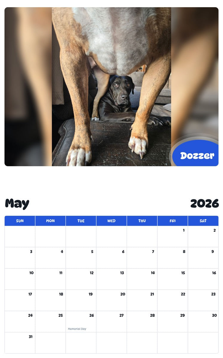 2026 - 2027 Dozzer - Pawidols Pet Calendar