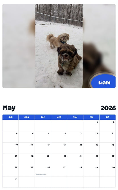 2026 - 2027 Liam - Pawidols Pet Calendar