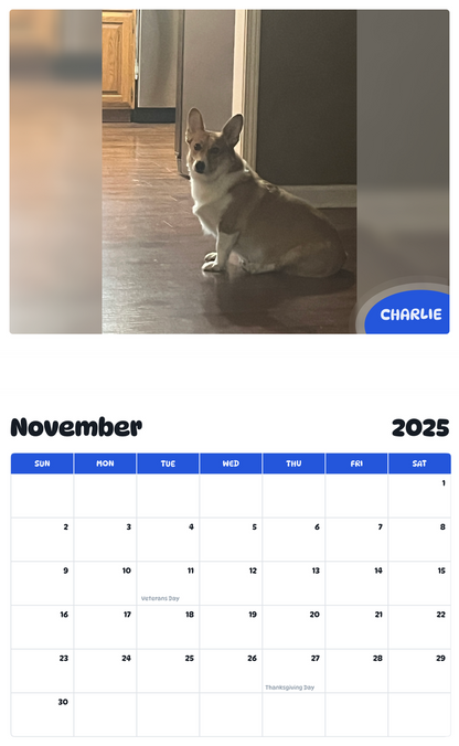July 2025 - June 2026 Charlie - Pawidols Pet Calendar