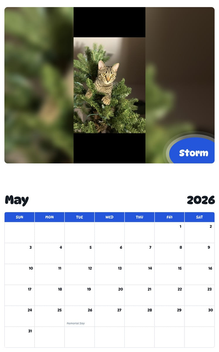 2026 - 2027 Storm - Pawidols Pet Calendar