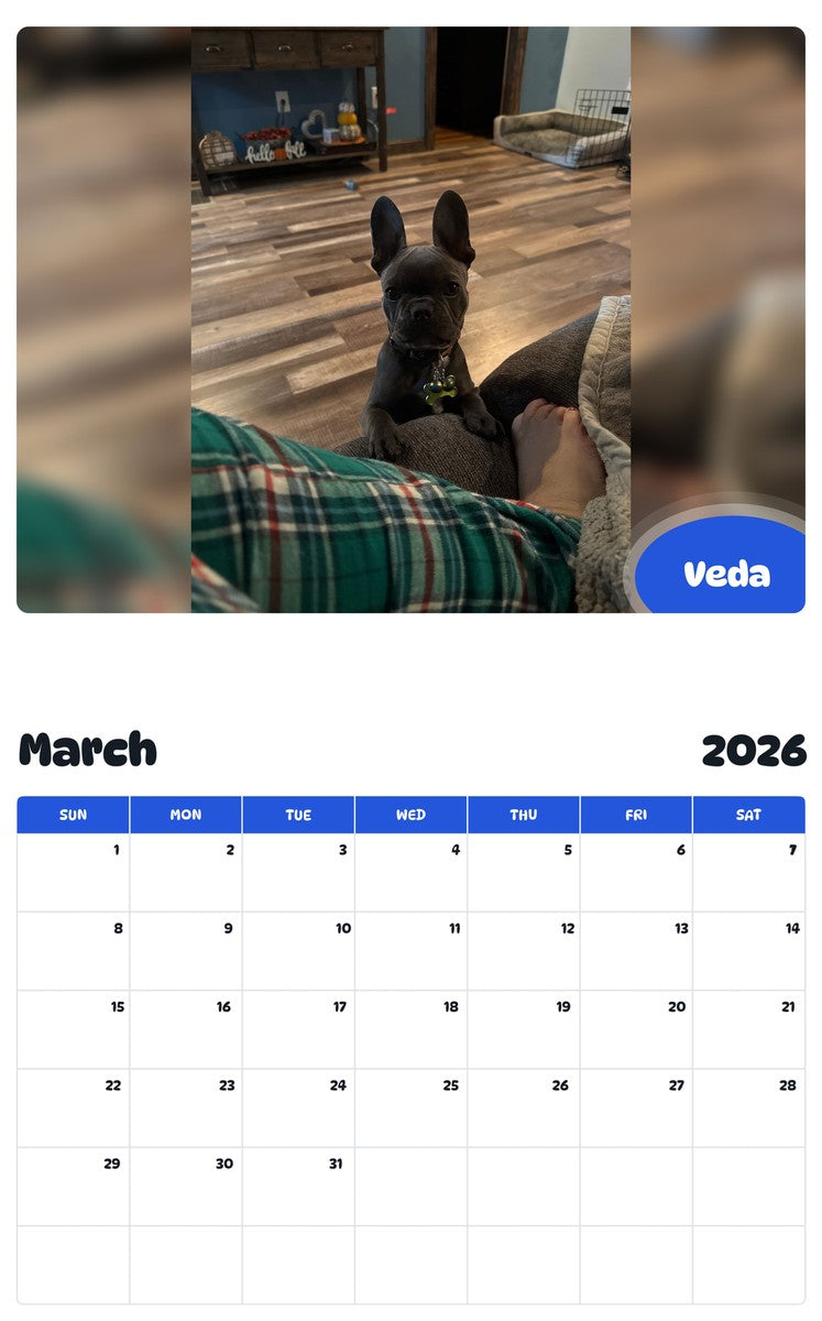 November 2025 - October 2026 Veda - Pawidols Pet Calendar