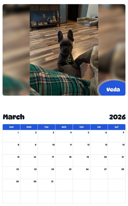 November 2025 - October 2026 Veda - Pawidols Pet Calendar