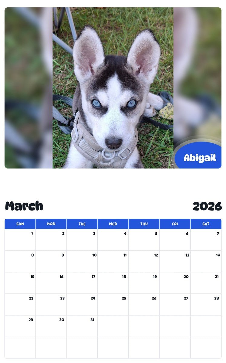 November 2025 - October 2026 Abigail - Pawidols Pet Calendar