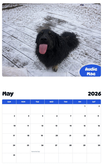2026 - 2027 Audie Mae - Pawidols Pet Calendar
