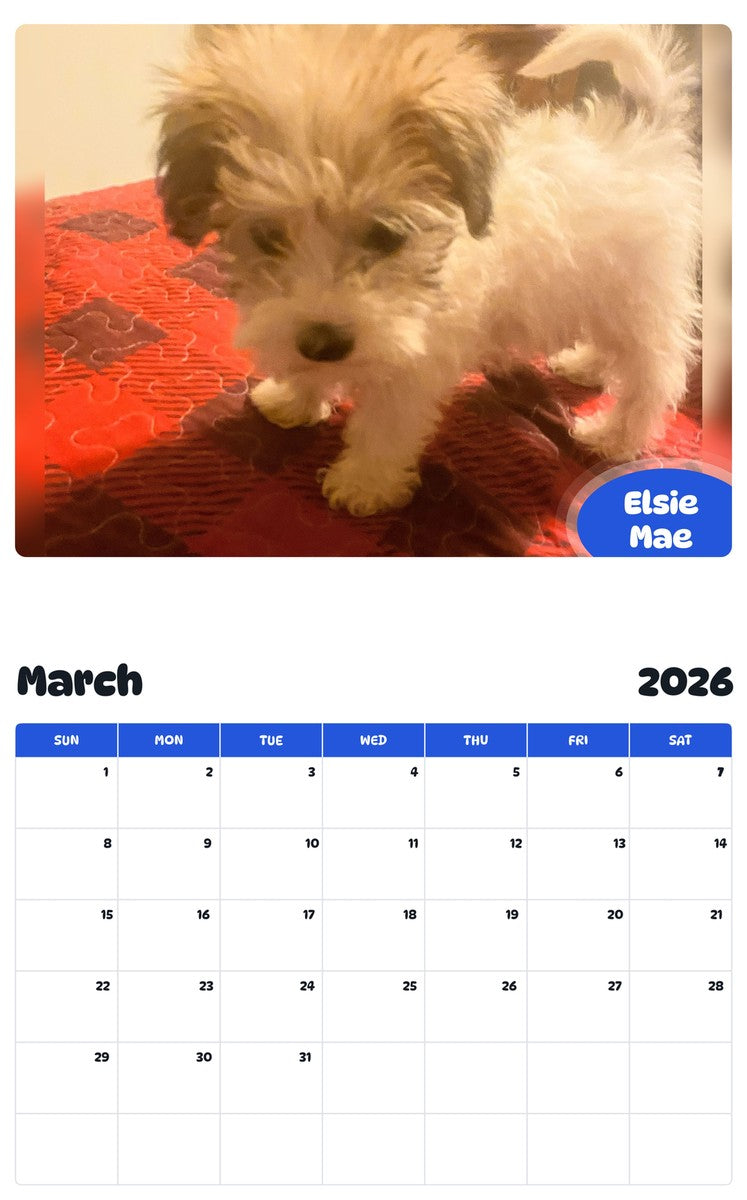 November 2025 - October 2026 Elsie Mae - Pawidols Pet Calendar