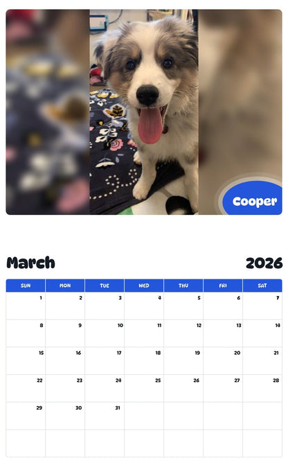 November 2025 - October 2026 Cooper - Pawidols Pet Calendar