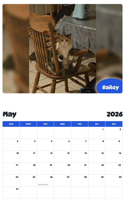 2026 - 2027 Bailey - Pawidols Pet Calendar