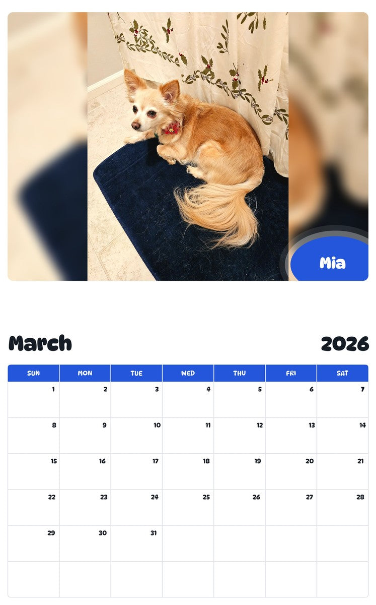 November 2025 - October 2026 Mia - Pawidols Pet Calendar