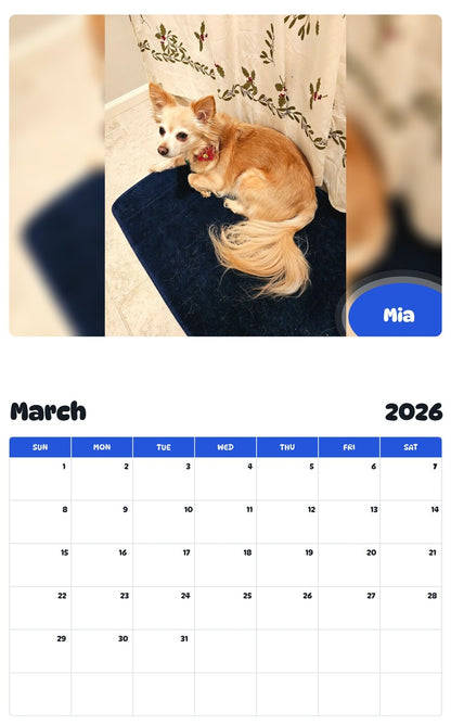 November 2025 - October 2026 Mia - Pawidols Pet Calendar
