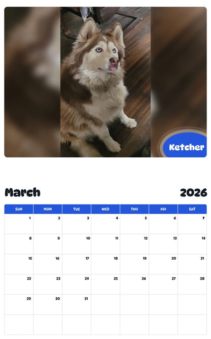 November 2025 - October 2026 Ketcher - Pawidols Pet Calendar