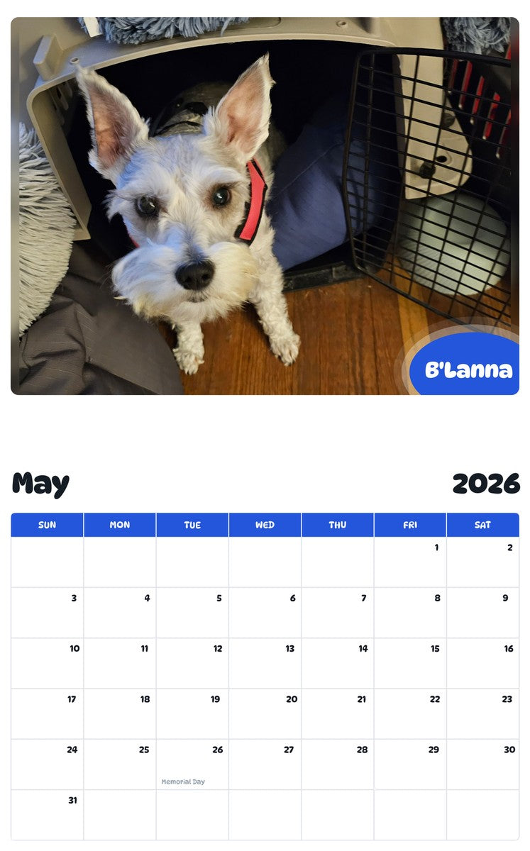 2026 - 2027 B'Lanna - Pawidols Pet Calendar