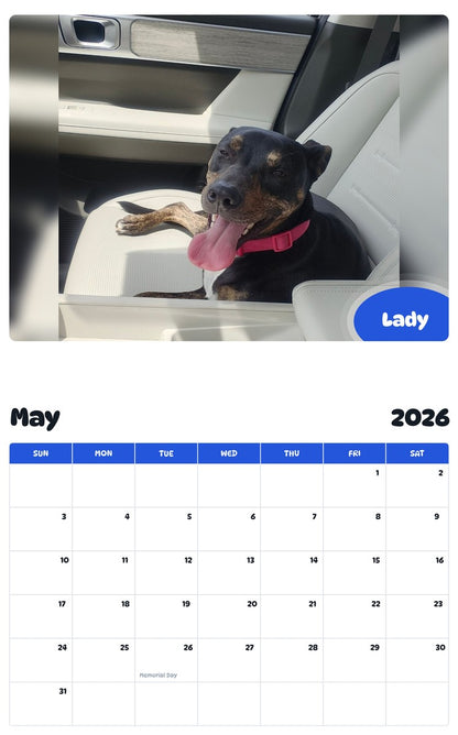 2026 - 2027 Lady - Pawidols Pet Calendar