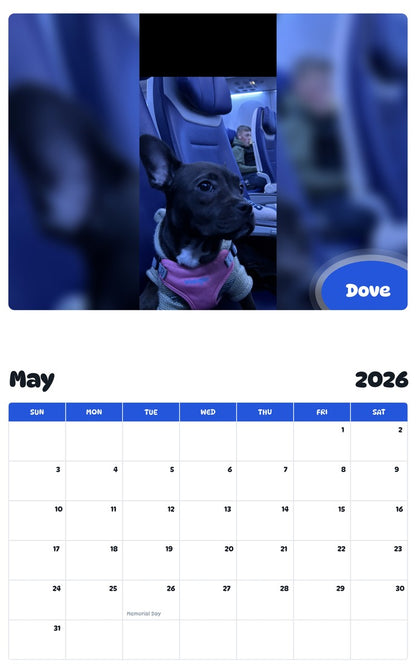 2026 - 2027 Dove - Pawidols Pet Calendar