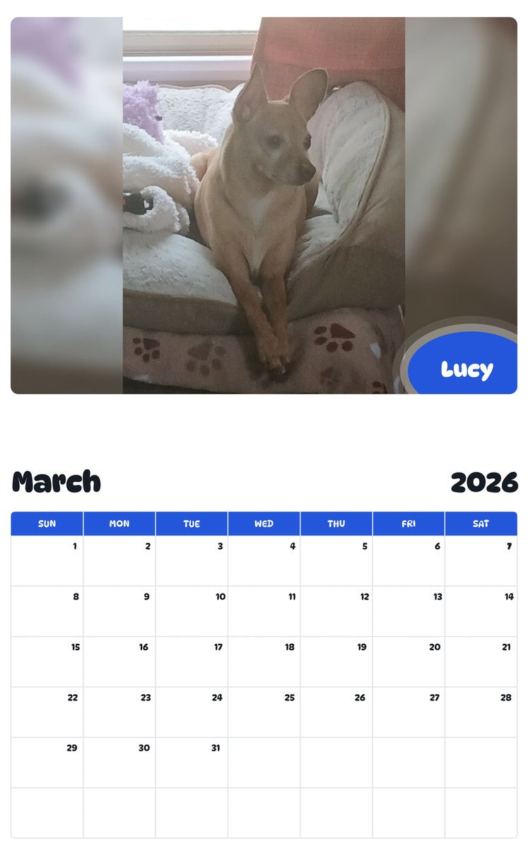 November 2025 - October 2026 Lucy - Pawidols Pet Calendar