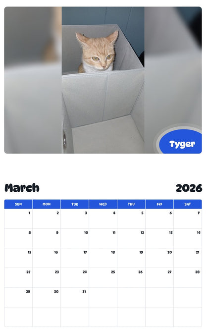 November 2025 - October 2026 Tyger - Pawidols Pet Calendar