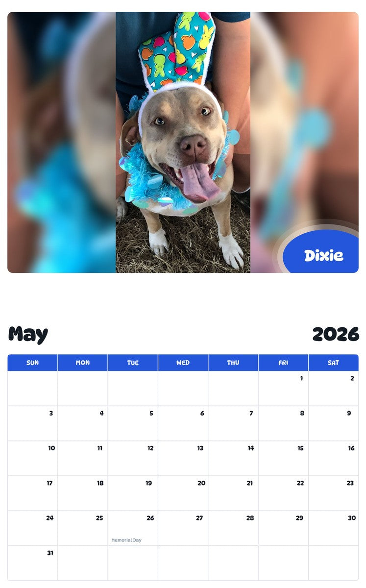 2026 - 2027 Dixie - Pawidols Pet Calendar