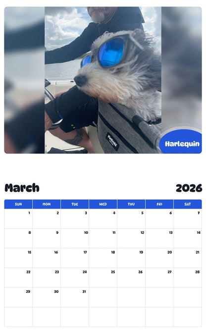 November 2025 - October 2026 Harlequin - Pawidols Pet Calendar