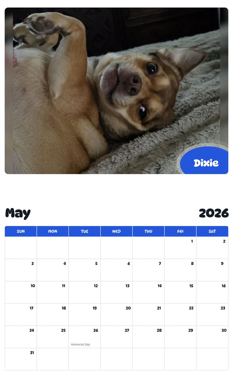 2026 - 2027 Dixie - Pawidols Pet Calendar