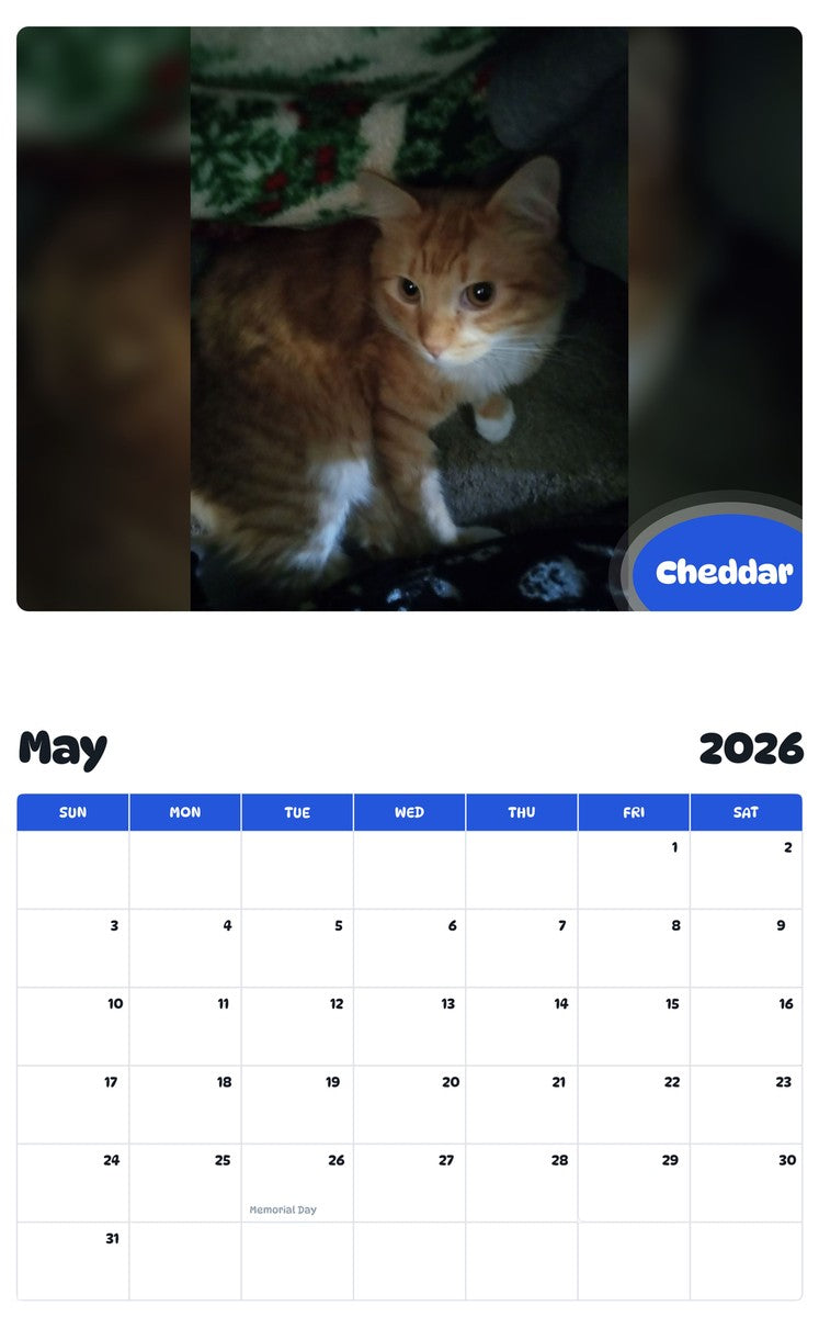 2026 - 2027 Cheddar - Pawidols Pet Calendar
