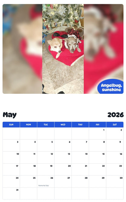 2026 - 2027 Angelbug, sunshine - Pawidols Pet Calendar