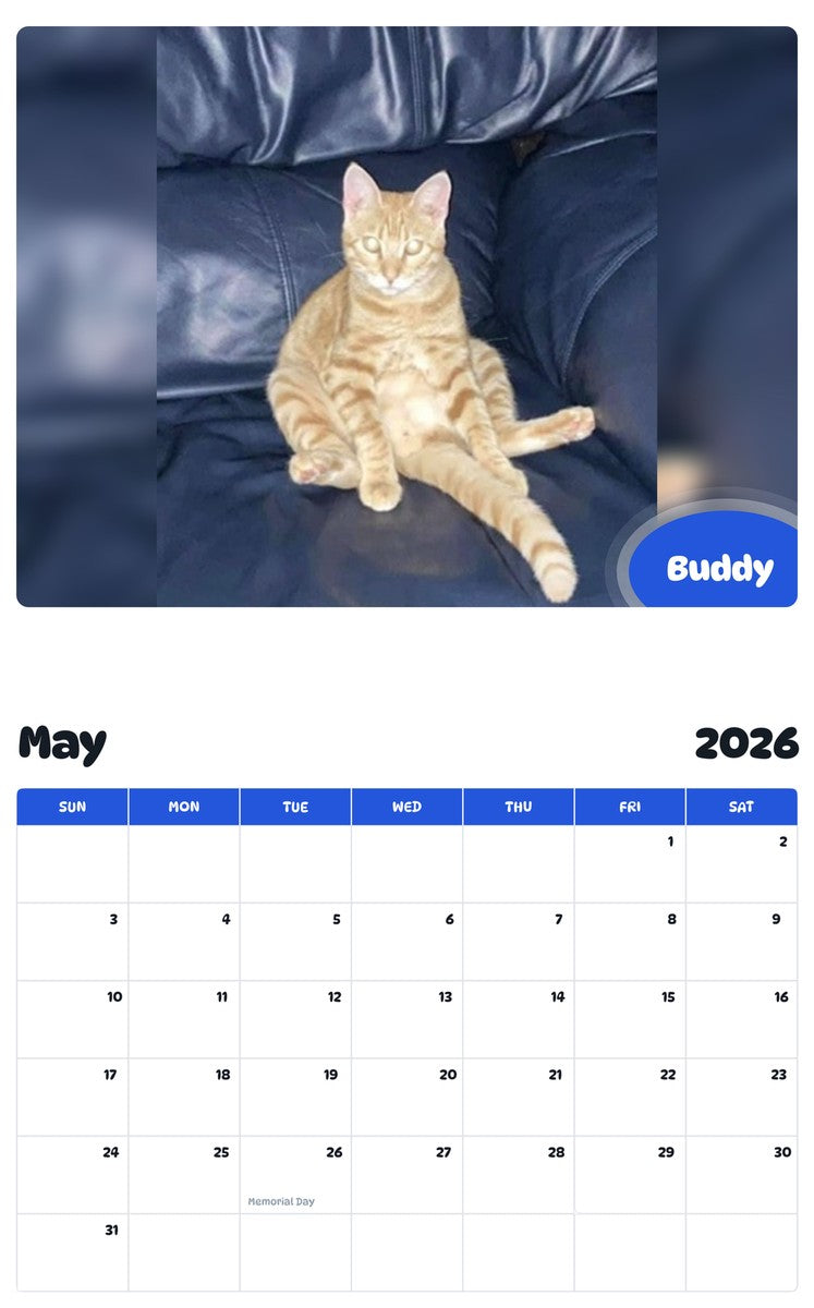 2026 - 2027 Buddy - Pawidols Pet Calendar