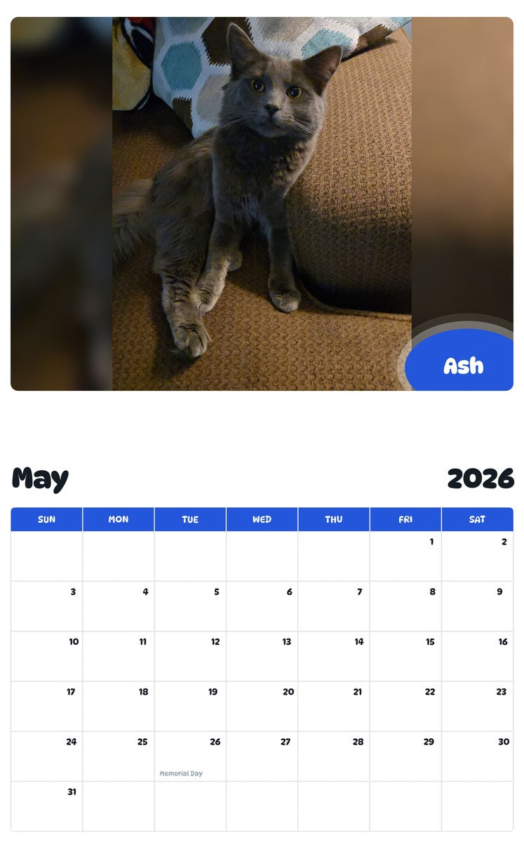 2026 - 2027 Ash - Pawidols Pet Calendar