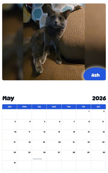 2026 - 2027 Ash - Pawidols Pet Calendar