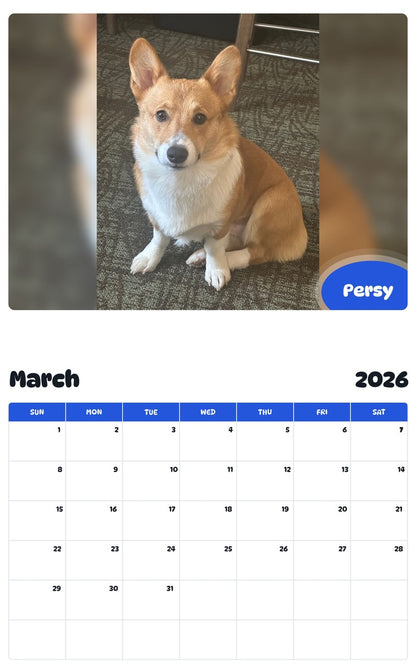 November 2025 - October 2026 Persy - Pawidols Pet Calendar
