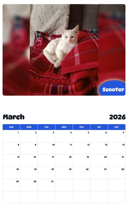 November 2025 - October 2026 Scooter - Pawidols Pet Calendar