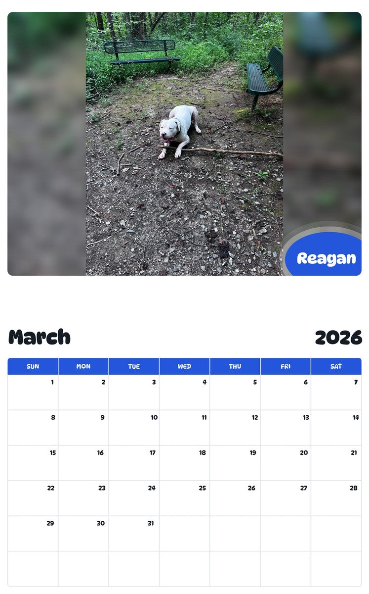 November 2025 - October 2026 Reagan - Pawidols Pet Calendar