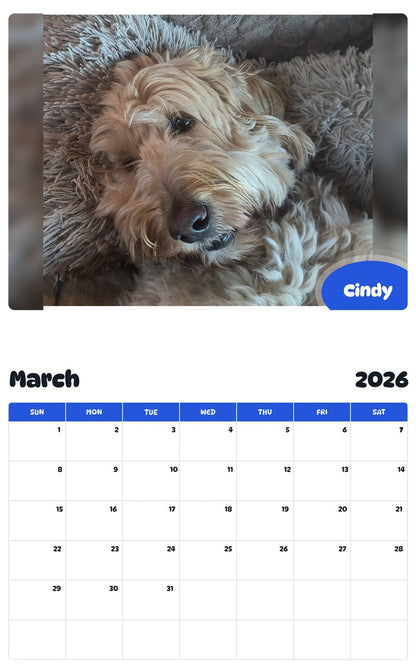 November 2025 - October 2026 Cindy - Pawidols Pet Calendar