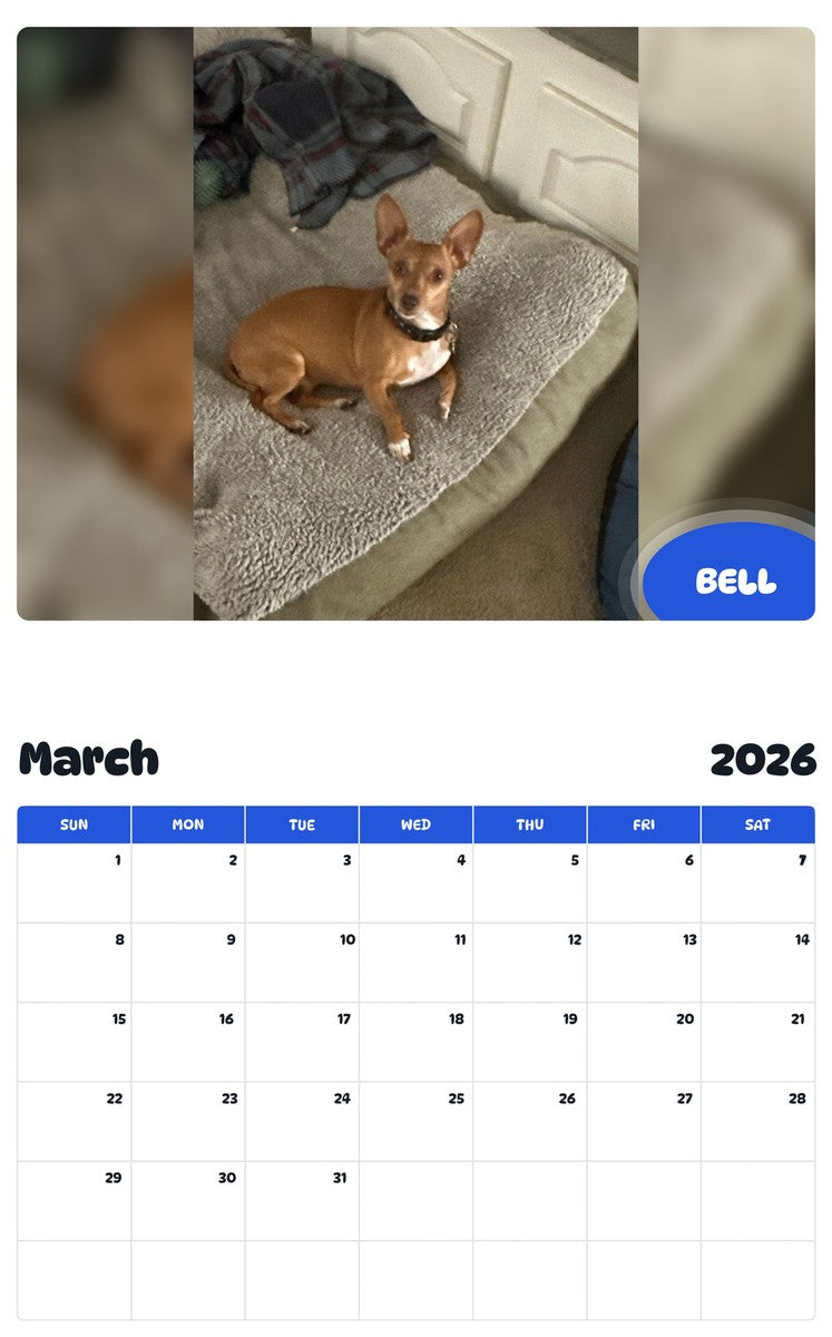November 2025 - October 2026 BELL - Pawidols Pet Calendar