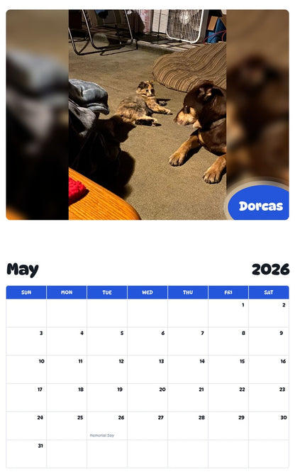 2026 - 2027 Dorcas - Pawidols Pet Calendar