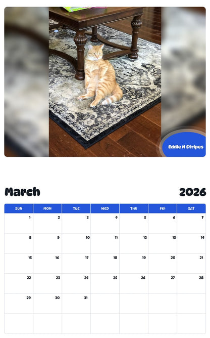 November 2025 - October 2026 Eddie N Stripes - Pawidols Pet Calendar