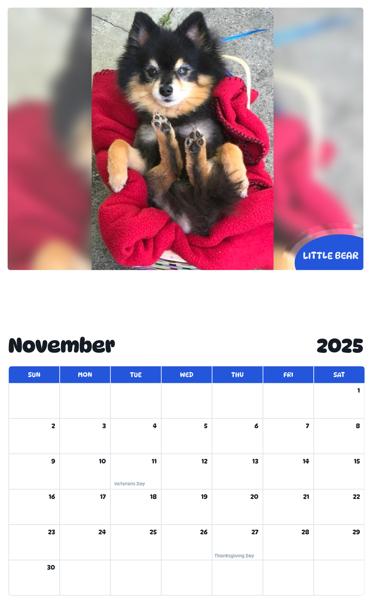 July 2025 - June 2026 LITTLE BEAR - Pawidols Pet Calendar