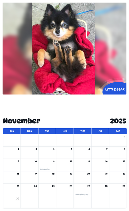 July 2025 - June 2026 LITTLE BEAR - Pawidols Pet Calendar