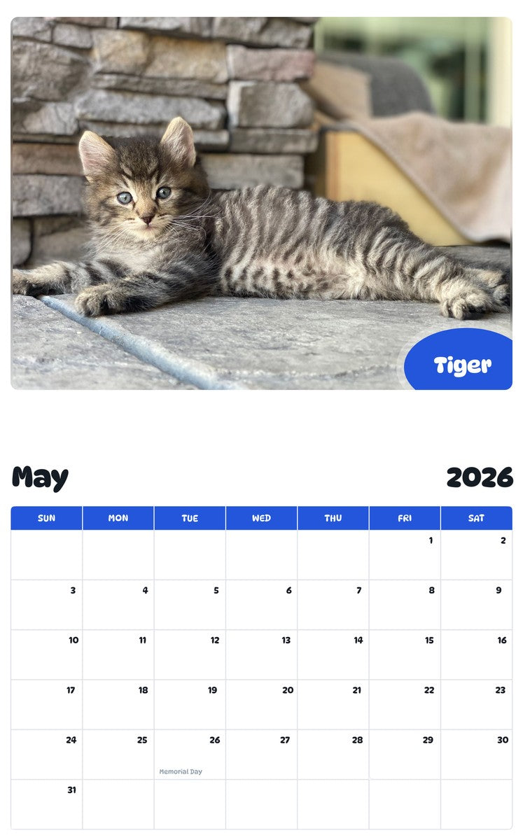 2026 - 2027 Tiger - Pawidols Pet Calendar