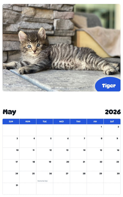 2026 - 2027 Tiger - Pawidols Pet Calendar