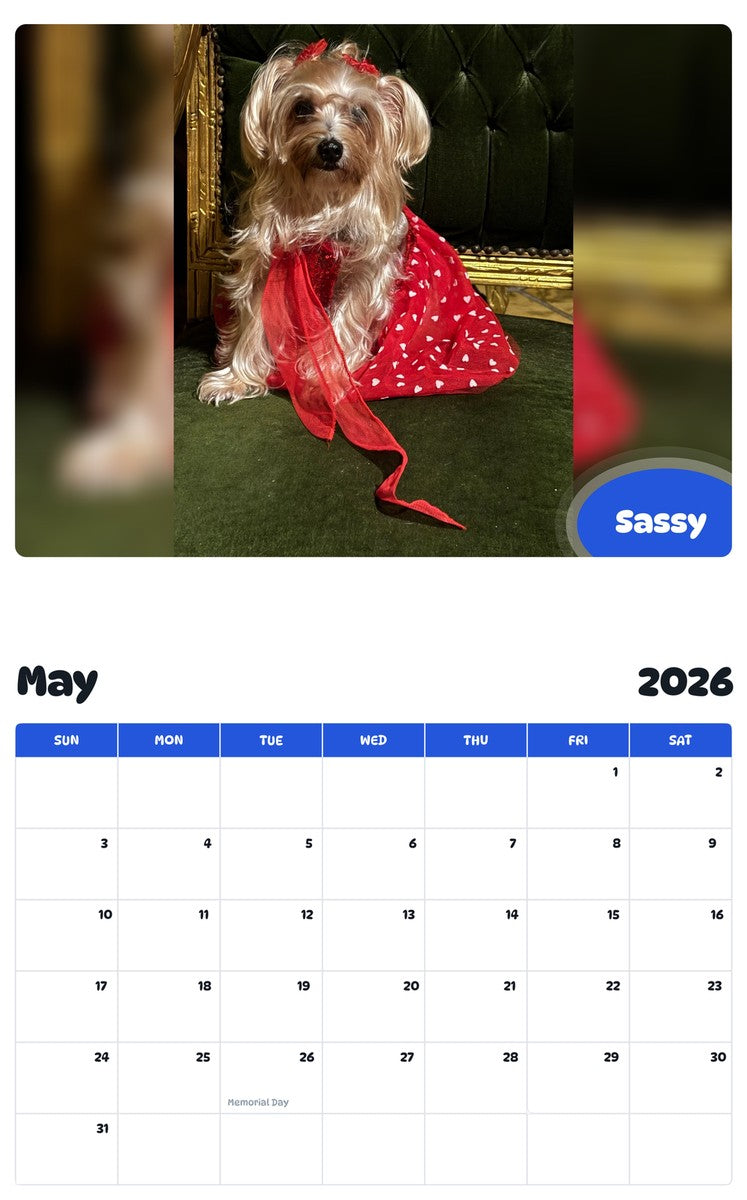 2026 - 2027 Sassy - Pawidols Pet Calendar
