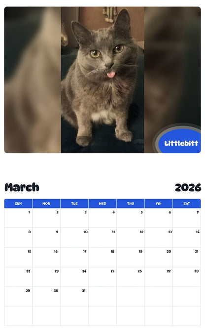 November 2025 - October 2026 Littlebitt - Pawidols Pet Calendar