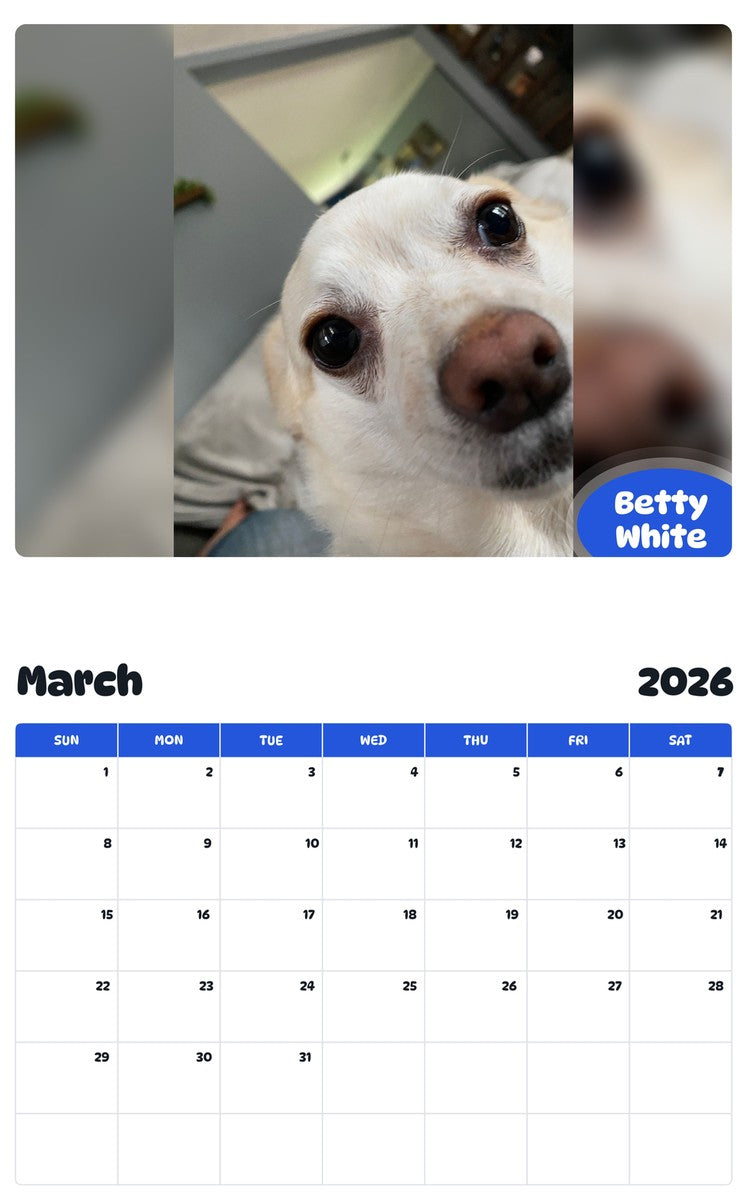 November 2025 - October 2026 Betty White - Pawidols Pet Calendar