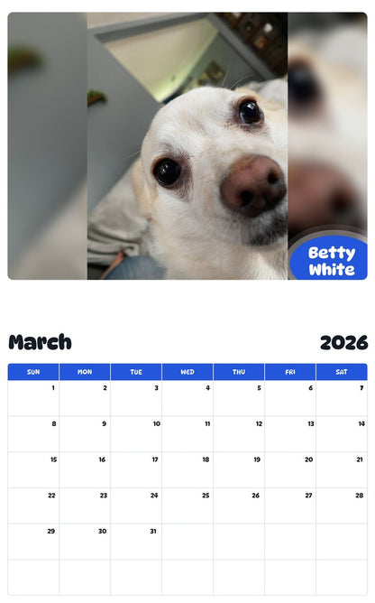 November 2025 - October 2026 Betty White - Pawidols Pet Calendar