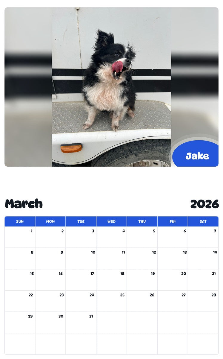 November 2025 - October 2026 Jake - Pawidols Pet Calendar