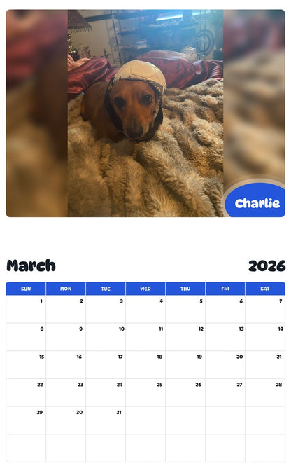 November 2025 - October 2026 Charlie - Pawidols Pet Calendar