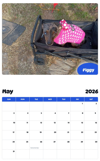 2026 - 2027 Piggy - Pawidols Pet Calendar